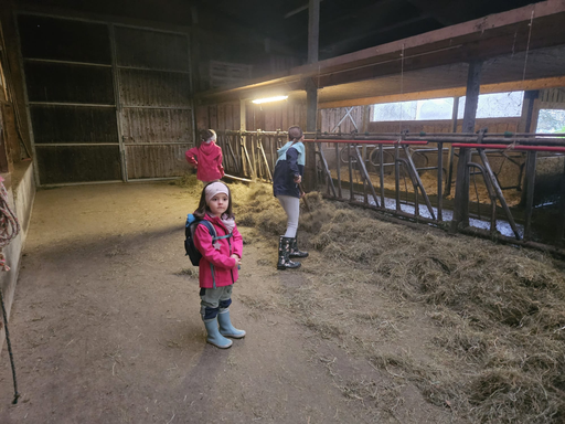 Die Hühner ins Bett bringen