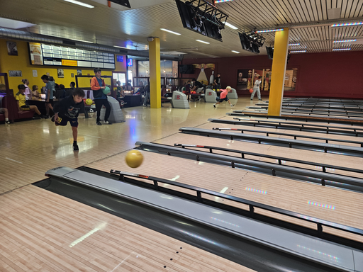Bowlen