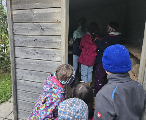 Die Hühner ins Bett bringen