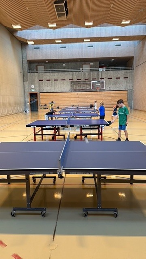 Tischtennis  VM