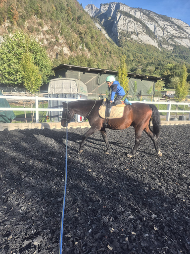 Spiel und Spass im Pferdestall