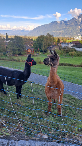 Spannender Erlebnisnachmittag im Lukashaus