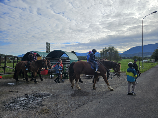 Reitspass