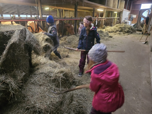 Die Hühner ins Bett bringen