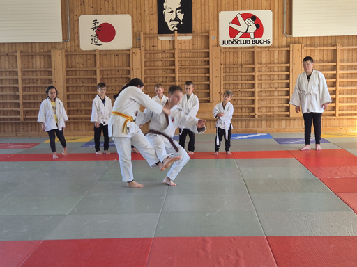 Judo