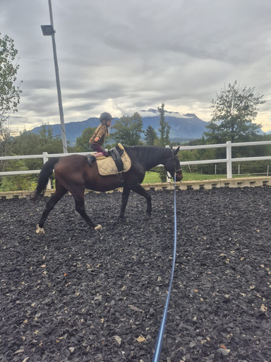Spiel und Spass im Pferdestall