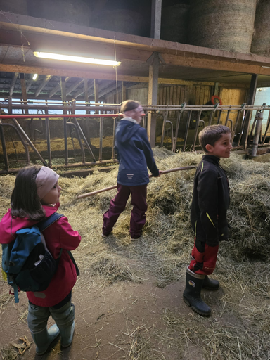 Die Hühner ins Bett bringen