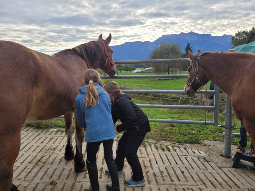 Reitspass