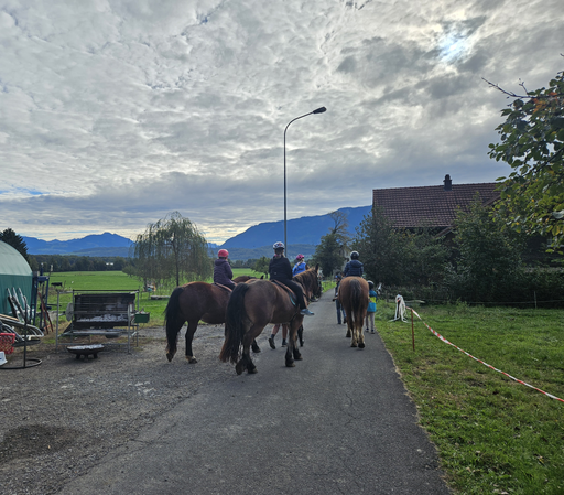 Reitspass