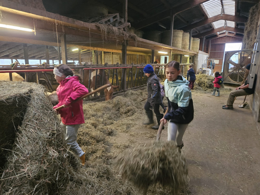 Die Hühner ins Bett bringen
