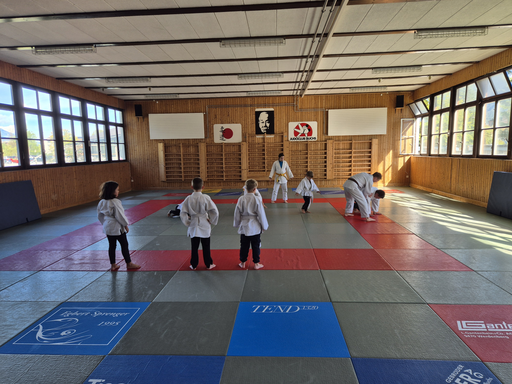 Judo