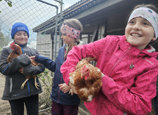 Die Hühner ins Bett bringen