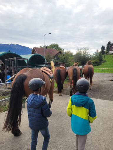 Reitspass