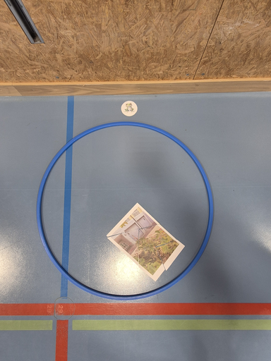 Bewegung und Spass mit Nussi