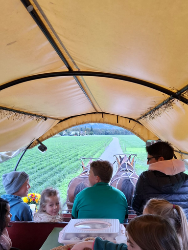 Kutschfahrt