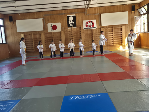 Judo