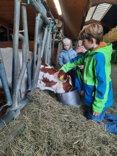 Die Hühner ins Bett bringen