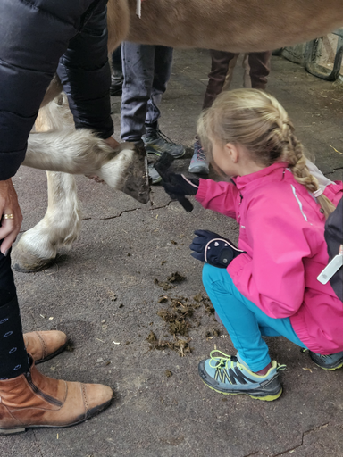 Spiel und Spass im Pferdestall