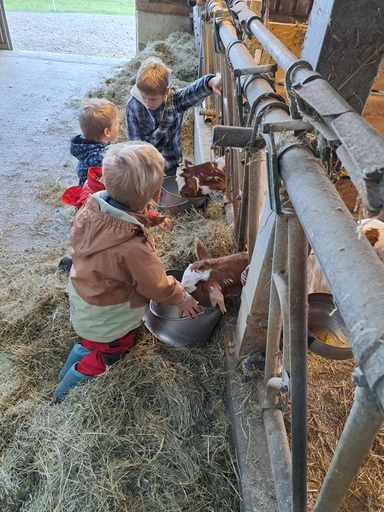 Die Hühner ins Bett bringen