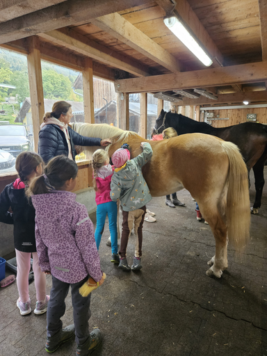 Spiel und Spass im Pferdestall