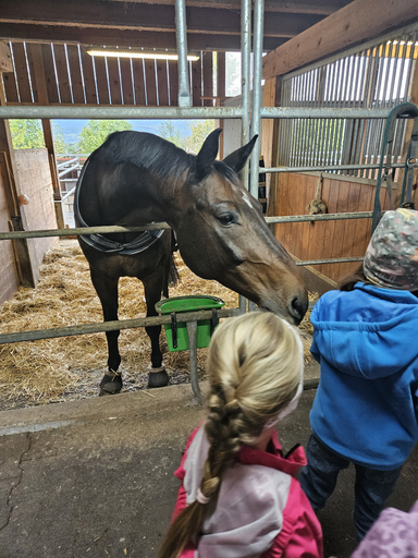 Spiel und Spass im Pferdestall