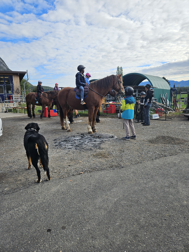 Reitspass