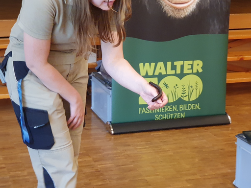 Schultierschau
