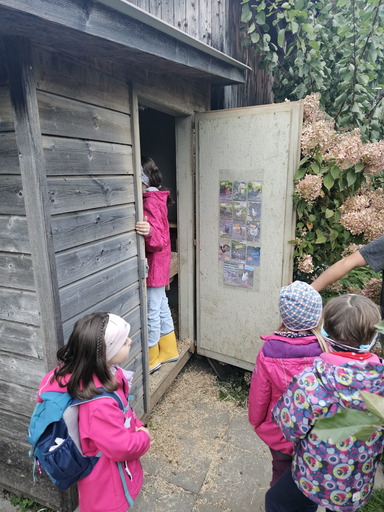 Die Hühner ins Bett bringen