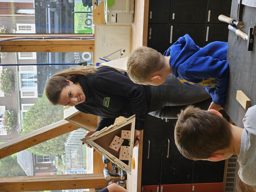 Schreinere mit uns ein Wildbienenhaus - Stolz Holzbau