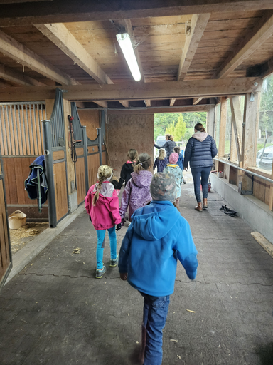 Spiel und Spass im Pferdestall