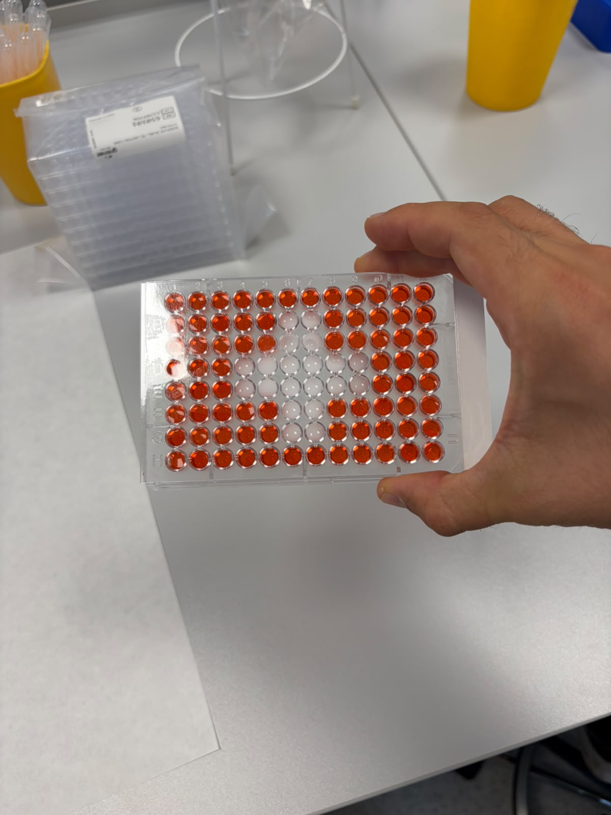 Biomedizinische Analytik