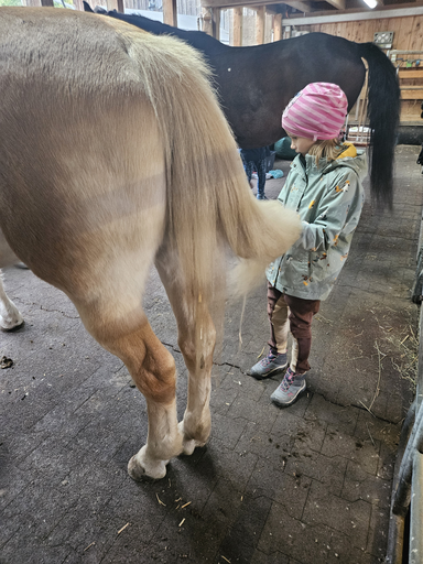 Spiel und Spass im Pferdestall