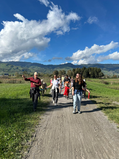 Alpaka Trekking