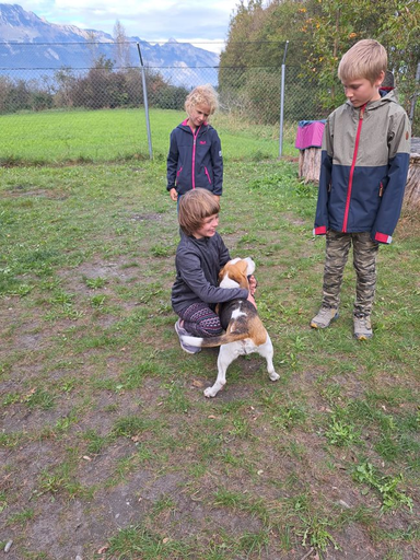 Tierschutz für Kinder