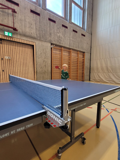 Tischtennis