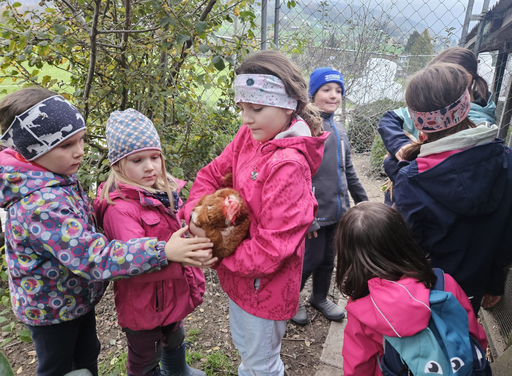 Die Hühner ins Bett bringen