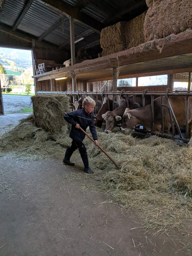 Die Hühner ins Bett bringen