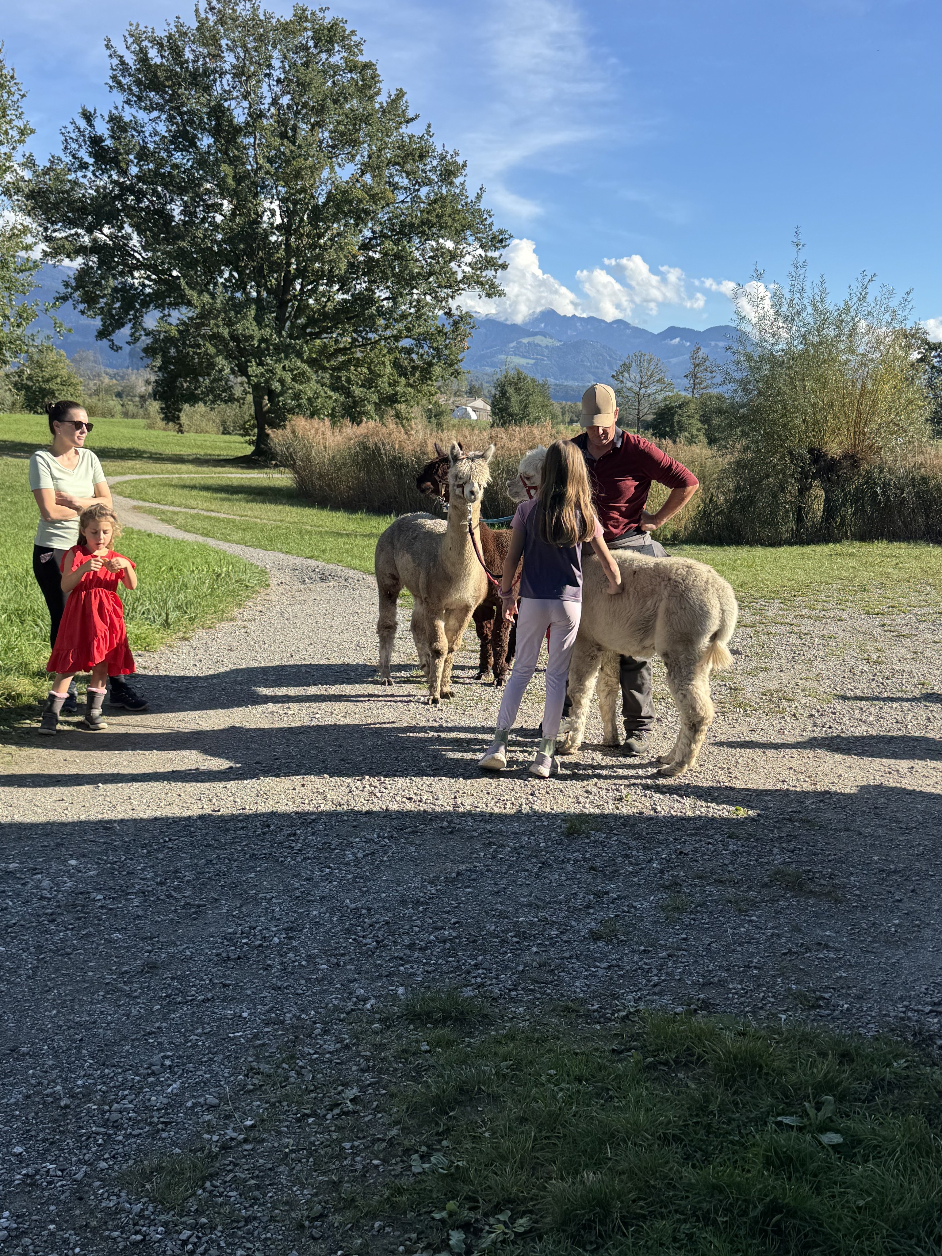 Alpaka Trekking