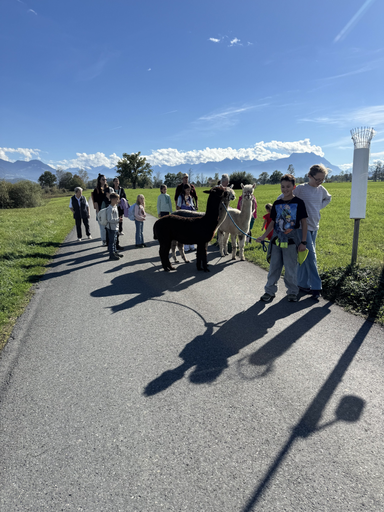 Alpaka Trekking