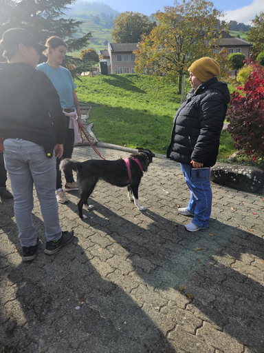 Erlebnisnachmittag Lukashaus