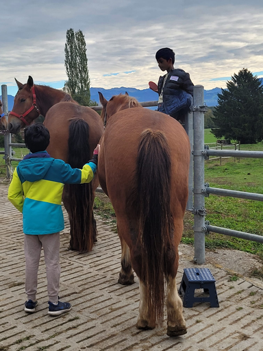 Reitspass