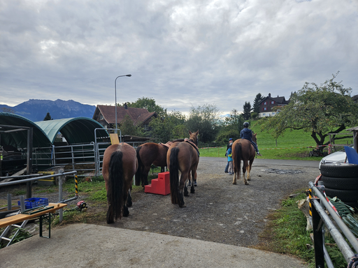 Reitspass