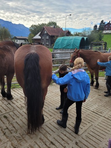 Reitspass