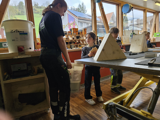 Schreinere mit uns ein Wildbienenhaus - Stolz Holzbau