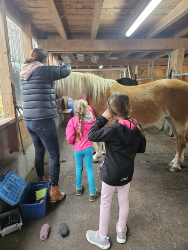Spiel und Spass im Pferdestall