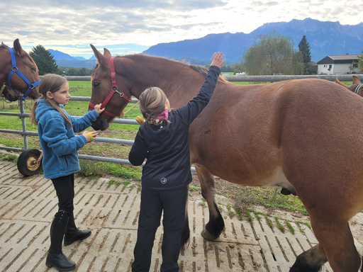 Reitspass