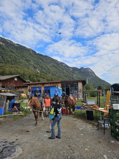 Reitspass
