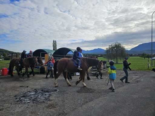 Reitspass