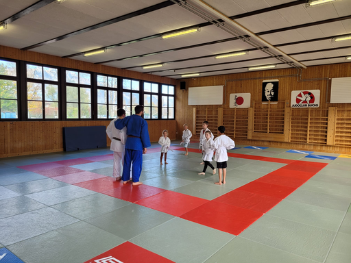 Judo