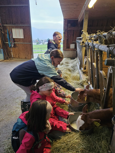 Die Hühner ins Bett bringen